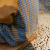 Chase Set in Thin Stone Blue Mustard Stripe