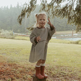 Kelsey Dress in Turtledove Chocolate Stripe
