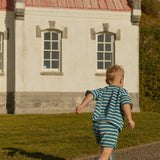 Sterling Set in Thin Blue Green Stripe