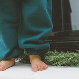 Brooks Set in Botanical Garden