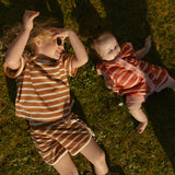 Sterling Set in Apple Cinnamon Stripe