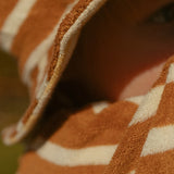 Blake Hat in Apple Cinnamon Stripe